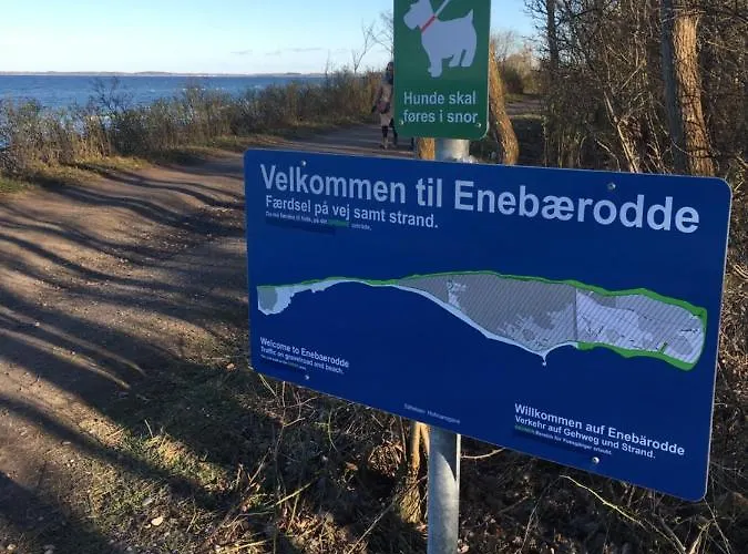 Close To Hasmark 150m *